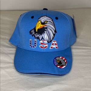Blue USA Eagle Cap